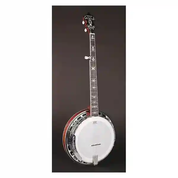 BANJO RICHWOOD RMB-905 FOLK 5 CORDE
