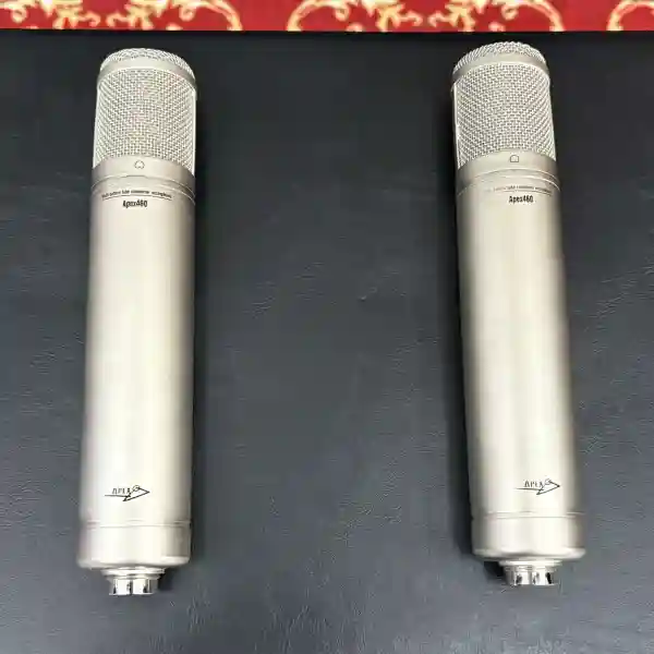 APEX 460 Multi-Pattern Diaphagram Studio Condenser Microphone Coppia Di Microfoni Valvolari